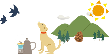 愛犬との朝活プラン